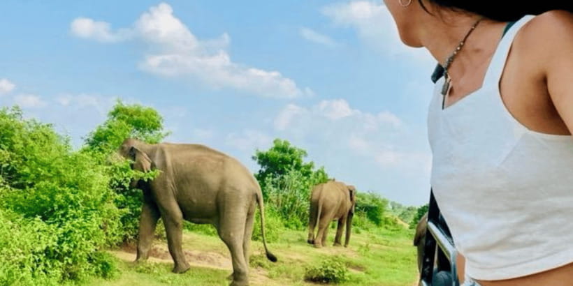 Udawalawe National Park: Safari with Experienced Driver - Elephants, leopards, and the wildlife mix that makes Udawalawe special