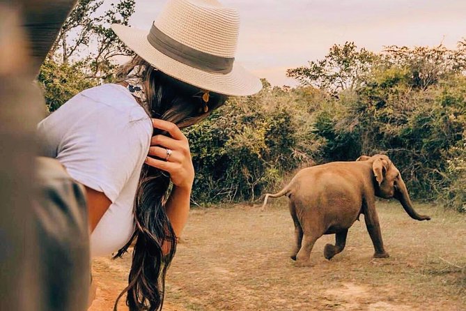 Udawalawe National Park Safari with Private Driver-Jeep and Enter ticket - Choosing Full-Day vs Half-Day Safari Times