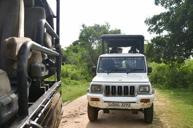 Udawalawe National Park Wildlife Safari Tours - Should you book Udawalawe National Park Wildlife Safari Tours?