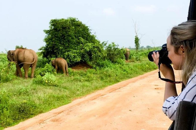 Udawalawe Private Safari frm Hambantota Port by BTM-All Inclusive - What to expect from the guide and the safari rhythm