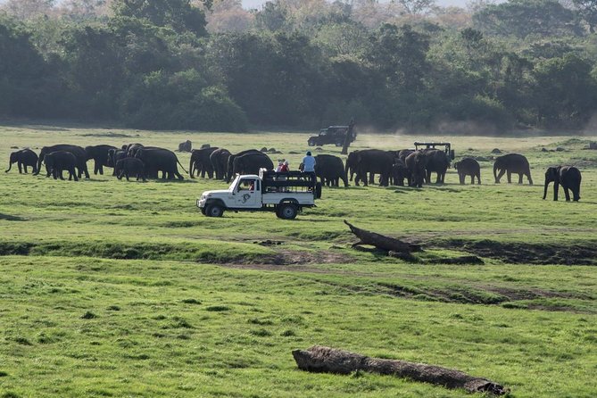 Udawalawe Private Safari frm Hambantota Port by BTM-All Inclusive - Who this safari is best for (and who should think twice)