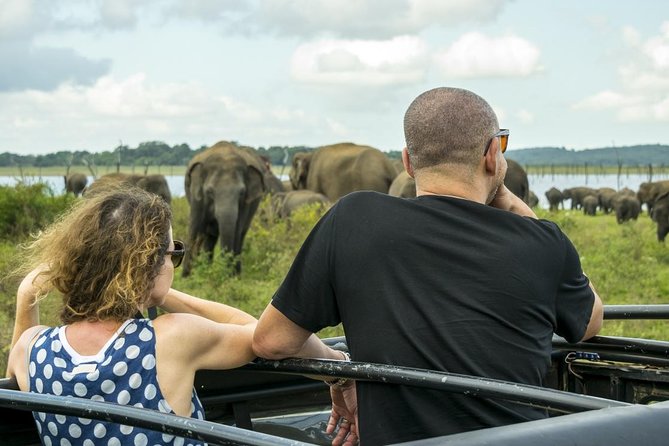 Udawalawe Private Safari frm Hambantota Port by BTM-All Inclusive - The drive and the park entry: what your 3 hours inside means