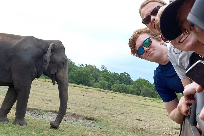 Udawalawe Safari Adventure - Wildlife You Can Reasonably Expect: Elephants Plus Real Extras