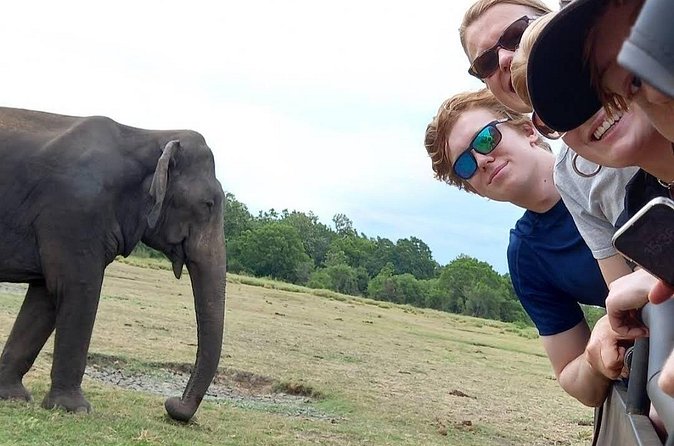 Udawalawe Safari Adventure - Price and Logistics: $18 Is the Tour Fee, Not the Park Ticket