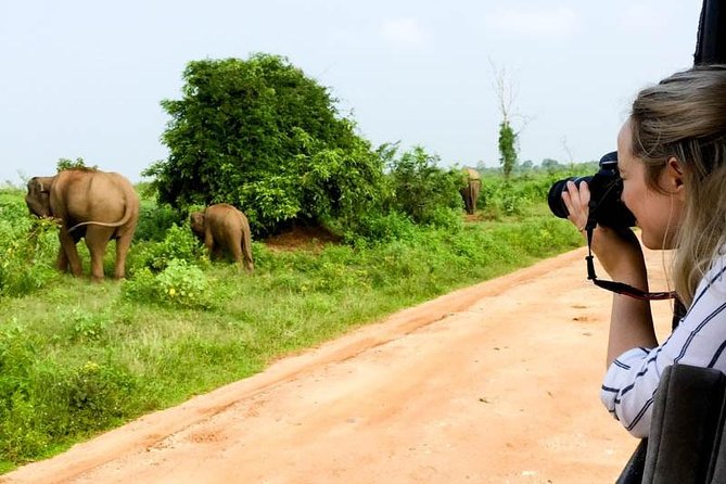 Udawalawe Safari Day Trip from South Region & Transfer to Ella - Elephant Transit Home: why it matters after you see elephants outside