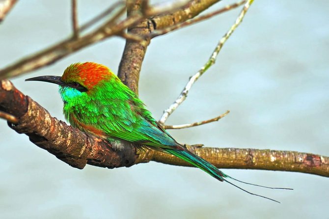 Udawalawe Safari Day Trip with Return Transport - All Inclusive - Lunch and the small comforts that matter on a long day