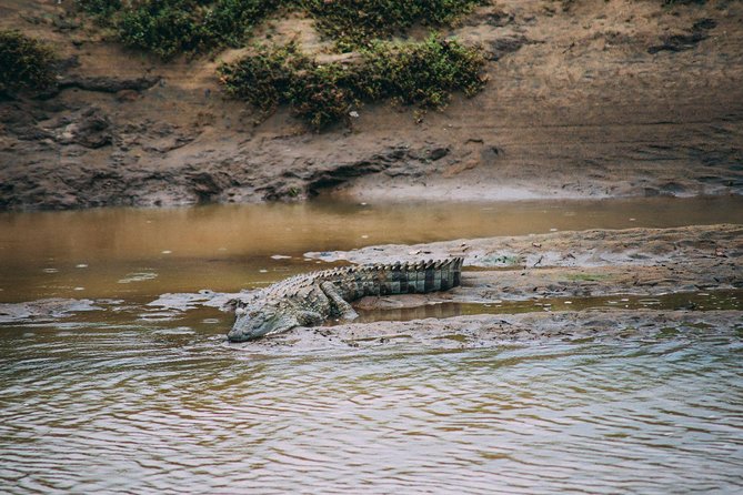 Udawalawe Safari Day Trip with Return Transport - All Inclusive - Price and value: is $180 per person actually fair?