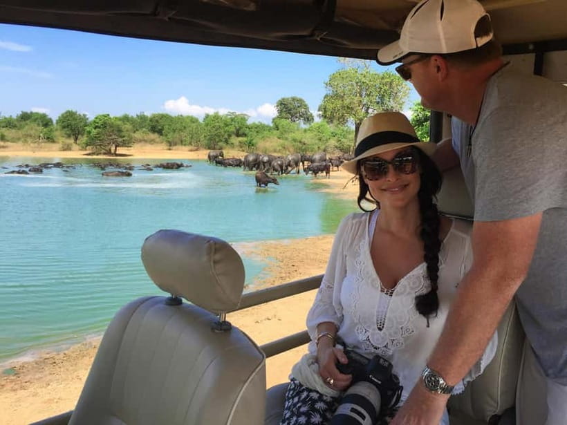 Udawalawe Safari Private Day Trip with Lunch - All Inclusive - Comfort and Timing: What to Expect on a Long, Wildlife-Focused Day