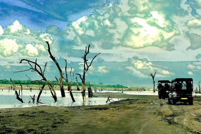 Ultimate 8-Day Sri Lanka Adventure: Private Guided Tour - Minneriya Safari and Sigiriya Crafts, Then Ayurveda Reset