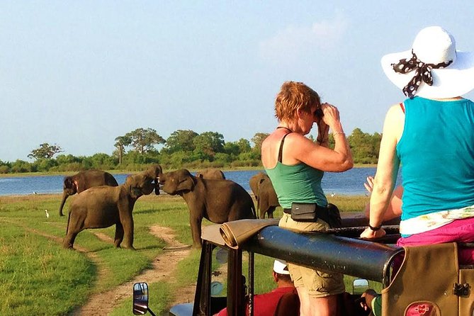 VALUE PACK! One Day Safari Tour to Yala and Udawalawa Parks - The one-day route from Bentota: why this combo works