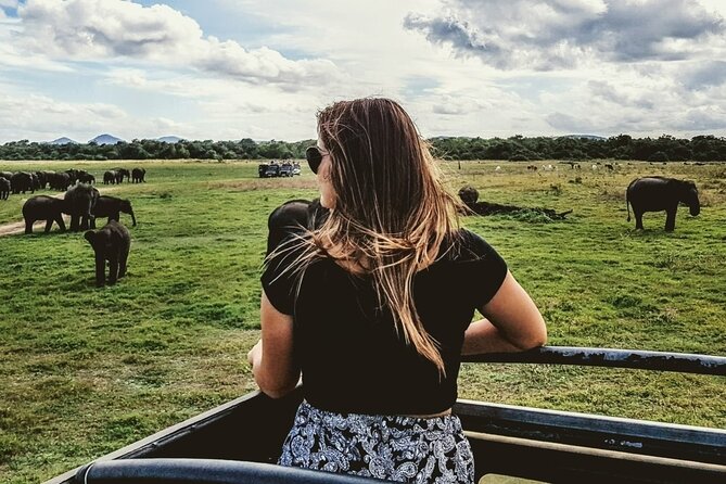VALUE PACK! One Day Safari Tour to Yala and Udawalawa Parks - Elephant Transit Home (ETH): what the 30 minutes adds