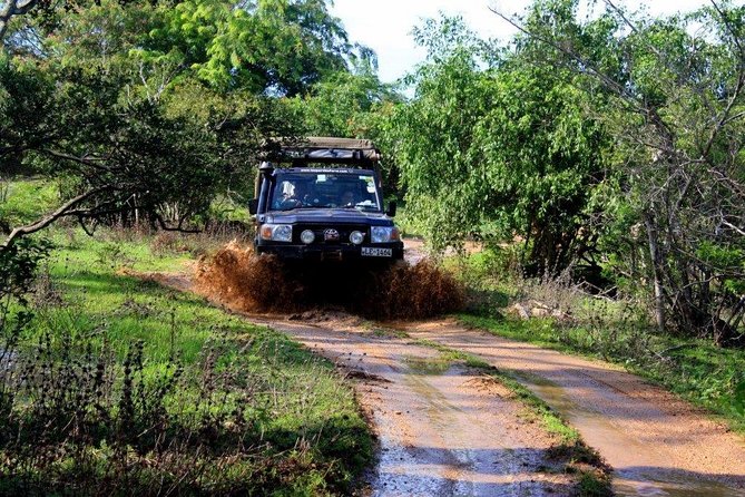 VALUE PACK! One Day Safari Tour to Yala and Udawalawa Parks - Who this tour fits best (and who should think twice)