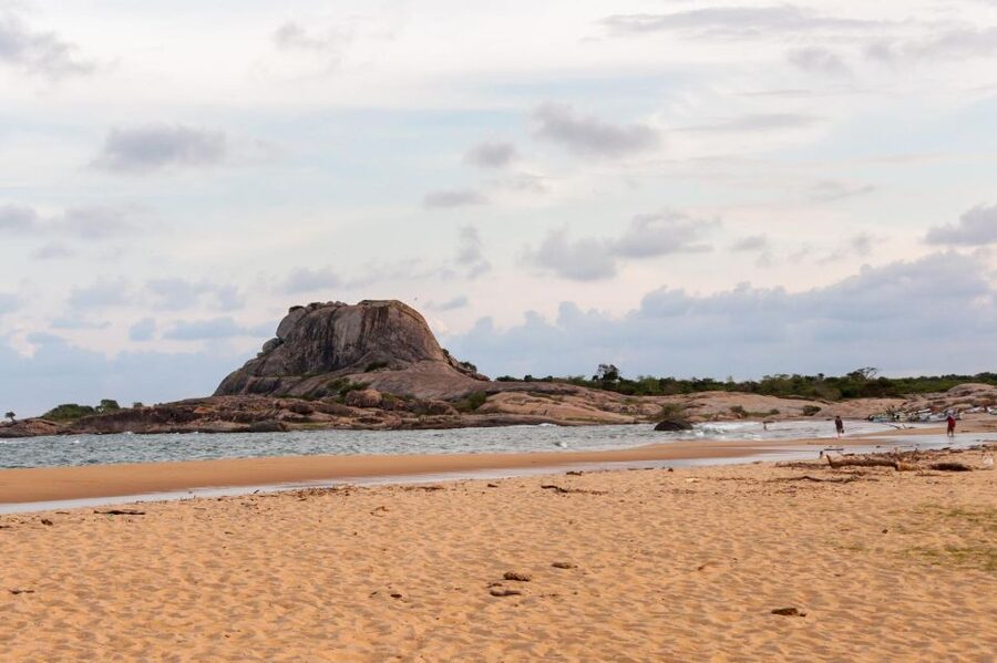 Value Tour: One Day Safari Trip to Yala & Udawalawe w/ Lunch - Price and Value: What $57 Really Covers