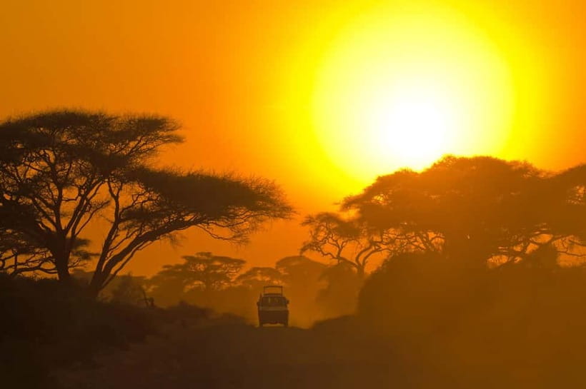 Value Tour: One Day Safari Trip to Yala & Udawalawe w/ Lunch - Afternoon Safari in Udawalawe National Park from 3 PM