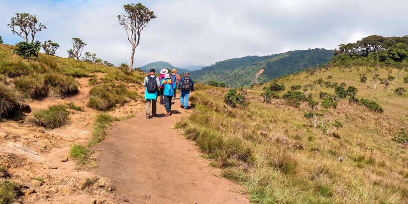 Visit Horton plains and Nuwara Eliya from Ella - Key highlights worth getting excited about