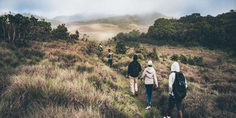 Visit Horton plains and Nuwara Eliya from Ella - Getting the most out of your day (without overplanning)