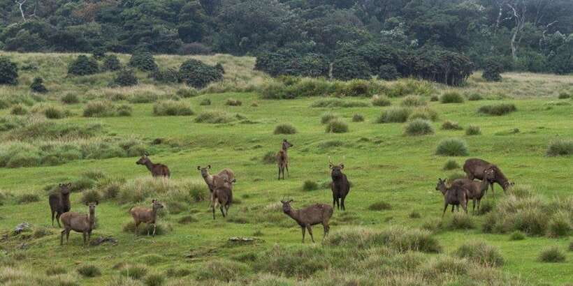 Visit Horton plains and Nuwara Eliya from Ella - Timing on your body: this is a hiking day first