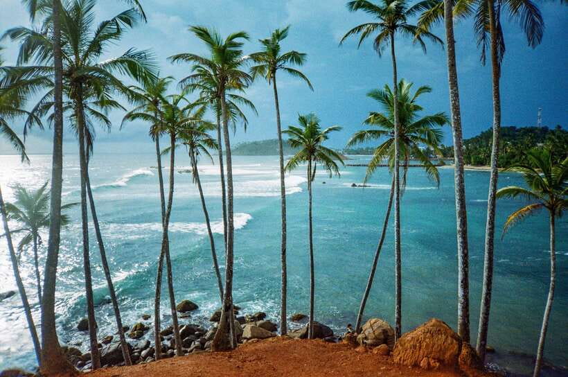 Visit sri Lanka 7 Days Round Trip - Day 6: Morning Whale Watching Session and Beach Time That Actually Feels Like a Break