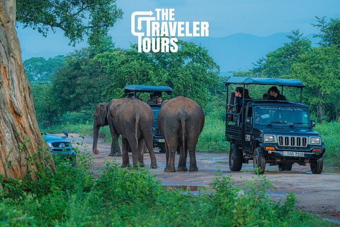 Walawe Palm Safari Udawalawe - Price and park entry ticket: what $22 really buys you