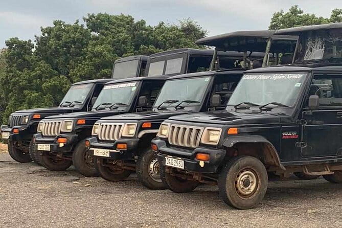 Walawe Palm Safari Udawalawe - What’s included with Walawe Palm Safari, and why it feels like value