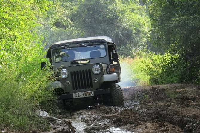 Wasgamuwa National Park Safari from Kandy - Wasgamuwa National Park: why it fits elephant sightings