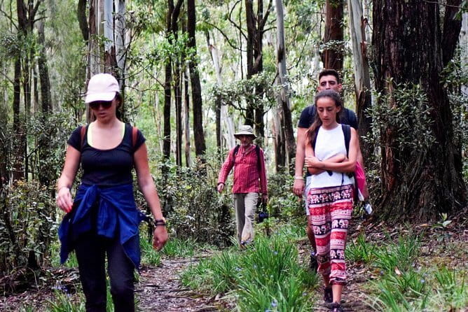 Wasgamuwa National Park Safari from Kandy - Entering Wasgamuwa: what the park setting means for you