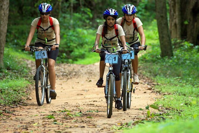 Wasgamuwa National Park Safari from Kandy - The jeep safari: animals you can reasonably aim for