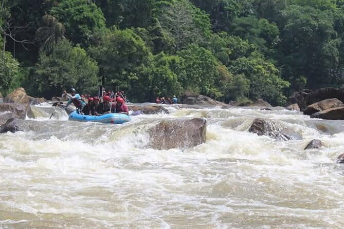 Wasgamuwa National Park Safari from Kandy - Practical tips to get the most from your safari day