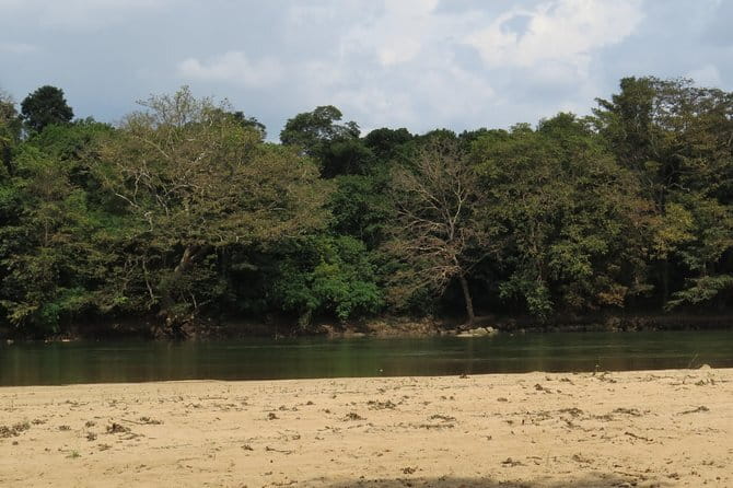 Wasgamuwa National Park Safari from Kandy - From Kandy to the park: a 10-hour day built for animals