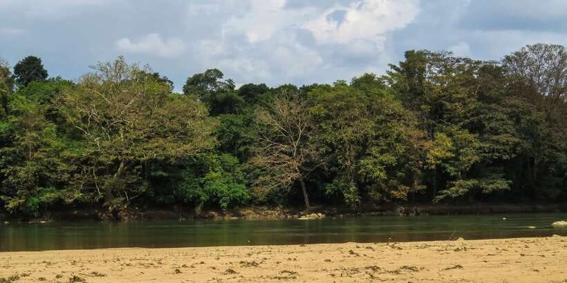 Wasgamuwa: Wasgamuwa National Park Private 3-Hour Safari - Water pools and the reptiles you never expect to see