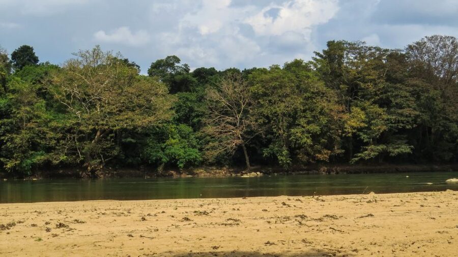 Wasgamuwa: Wasgamuwa National Park Private 3-Hour Safari - Comfort tips: what to bring and how to make those 3 hours easier