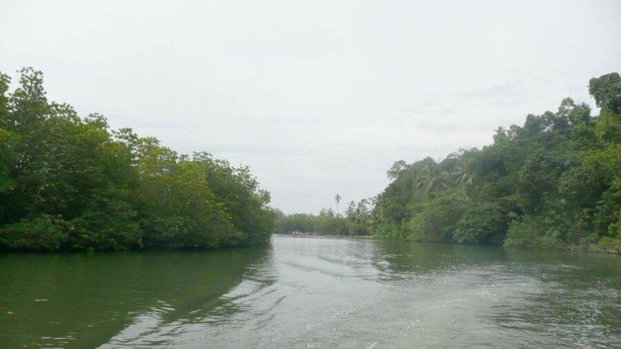 West coast Beach, River Mangroves lagoon, Wildlife boat Tour - Who should book this, and who should skip it