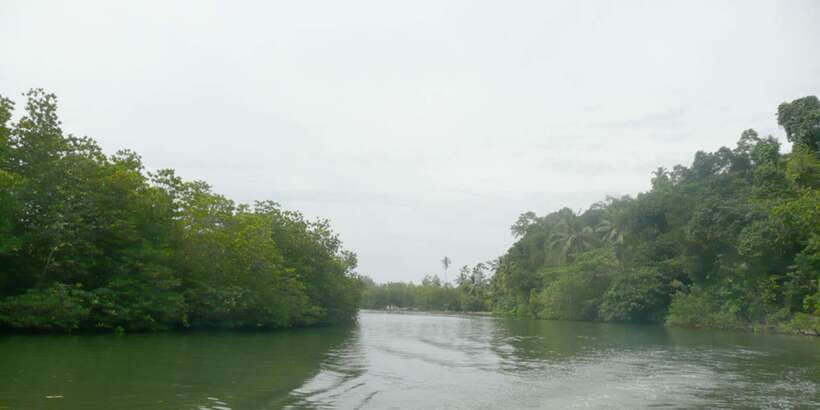 West coast Beach, River Mangroves lagoon, Wildlife boat Tour - The ride and schedule: expect car time between big moments