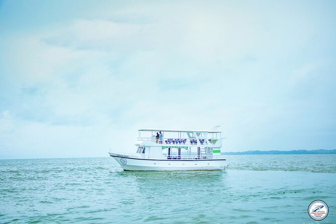 Whale Watching Mirissa Ultimate Tour in Sri Lanka with Breakfast - Responsible viewing rules, and what that means on the water
