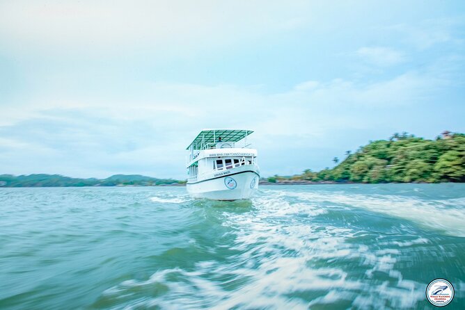 Whale Watching Mirissa Ultimate Tour in Sri Lanka with Breakfast - Luxury cruiser setup: restrooms, WiFi, and max 40 comfort