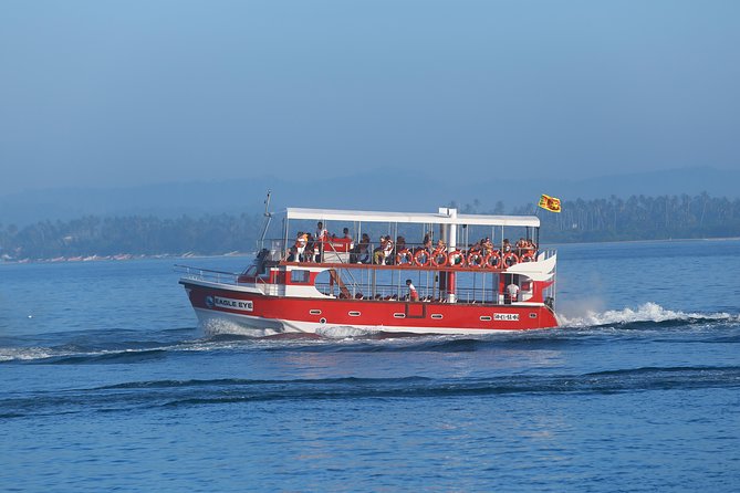 Whale Watching Mirissa with Eagle Eye - Safety and Whale Distance: What Responsible Means in Practice