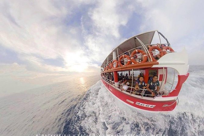 Whale Watching Mirissa with Eagle Eye - Who Should Book This Whale Watching Trip