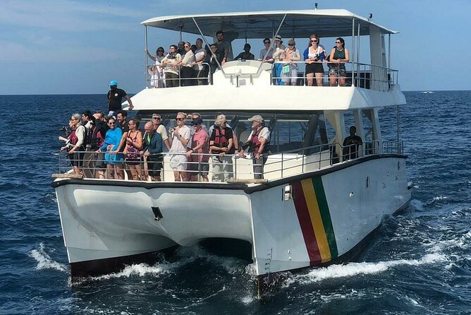 Whale Watching Mirissa with ( WWC ) - Ethical whale watching in plain language: follow, don’t chase