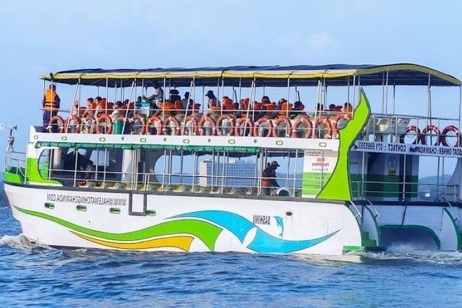 Whales and Dolphins Watching-Luxury Super Grade Cruiser(Hotel Pick up offered) - Getting Out on the Water: Galle Pickup and the 6:30am Mirissa Start