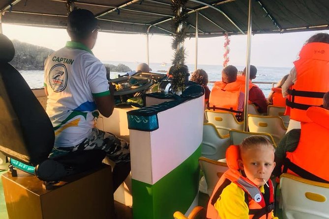 Whales and Dolphins Watching-Luxury Super Grade Cruiser(Hotel Pick up offered) - Price and Value at $65: When It’s a Great Deal and When It Might Not Feel Fair