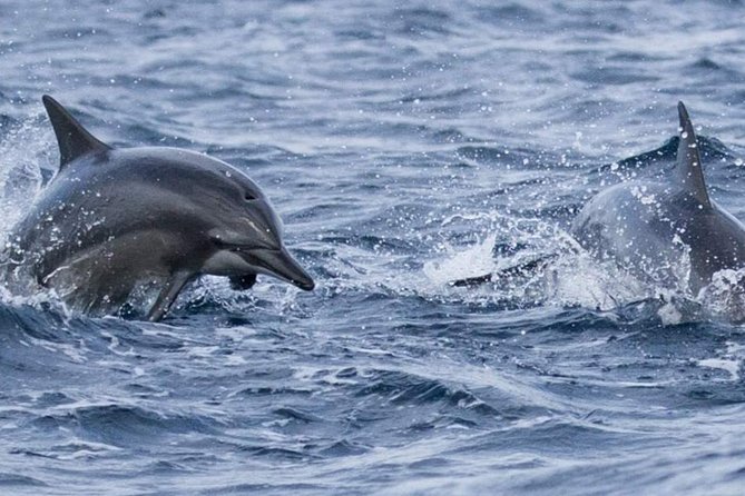 Whales and Dolphins Watching Mirissa - Stop 1: Moonstone mines and gem palace, what you will see in 30 minutes