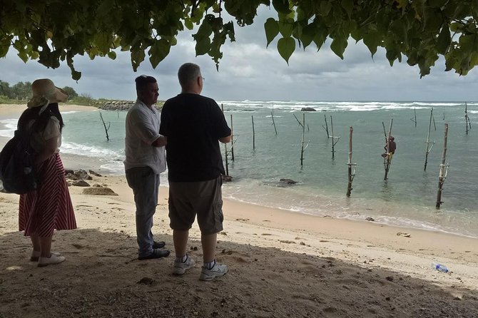 Whales Watching Mirissa Day Tour - Kosgoda Sea Turtle Conservation Project: practical, hands-on learning