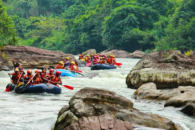 White Water Rafting in Kitulgala - What the best guides do here: communication, patience, and smooth rides