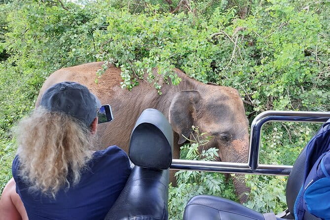 Wildlife Safari Yala National park - Key highlights worth your attention