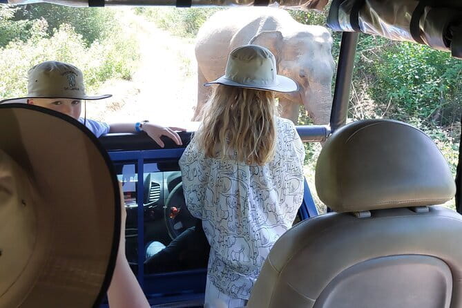 Wildlife Safari Yala National park - A two-stop wildlife day in Sri Lanka