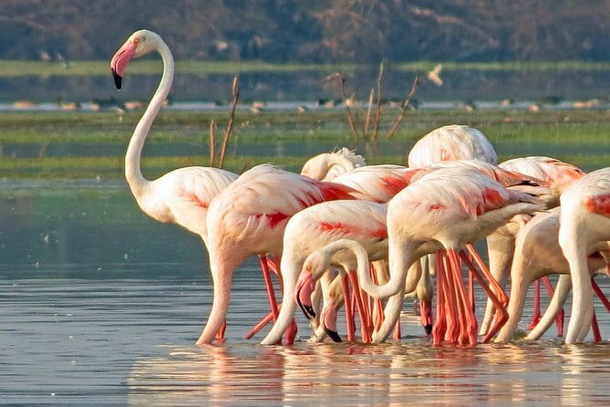 Wildlife Safari Yala National park - Price and value: is $160 actually fair for this route?