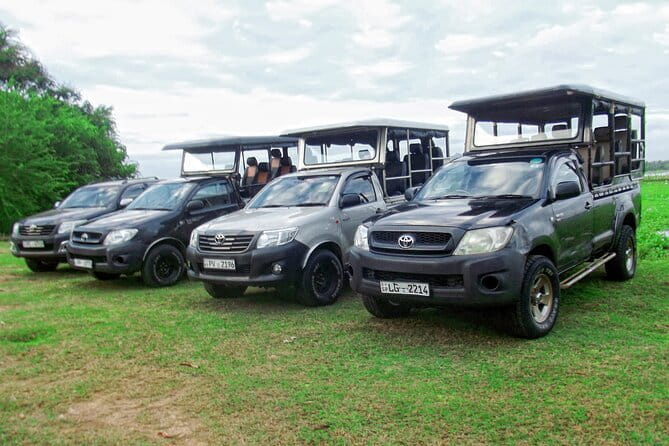 Wildlife Safari Yala National park - How to get the best results from the guide and the safari setup
