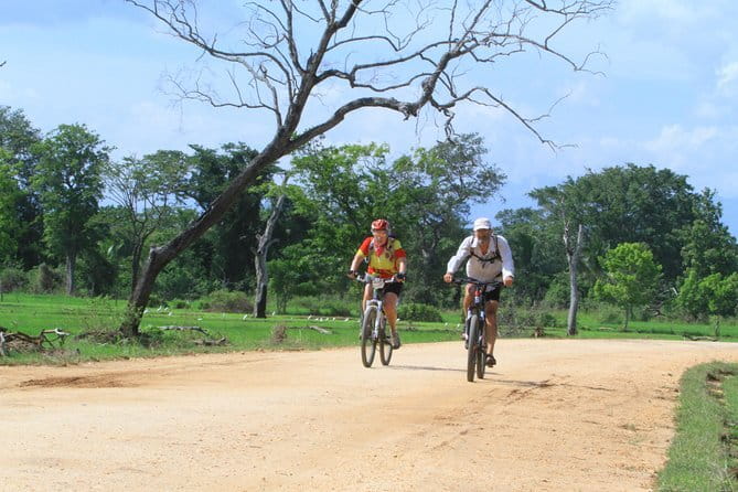 Wilpattu Half Day Safari From Anuradhapura - Leopard Sightings and the Real-Life Jeep Problem