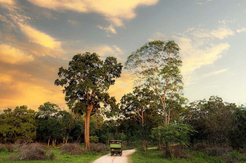 Wilpattu National park - Full day Safari (06:00am - 18:00pm) - The park route: photo stops, Kudiramale Point, Pomparippu, and villu areas