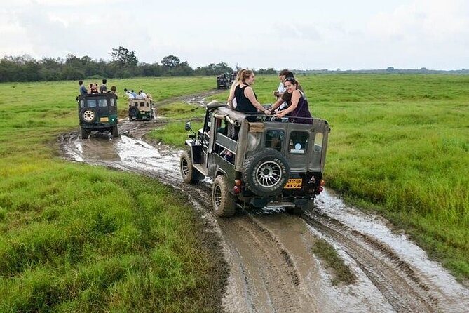 Wilpattu National Park Jeep Safari from Negombo / Waikkal (All Inclusive) - The Guide Factor: Spotting Skills and Real On-Spot Explanations